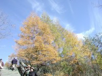 [2004-10-23_10.36.00.jpg]