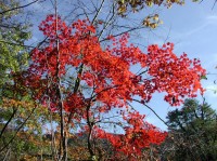 [2004-10-23_14.12.23.jpg]
