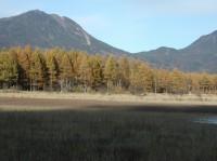 [2004-10-23_15.46.28.jpg]