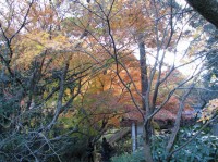 [2006-12-03_10.13.28.jpg]