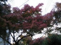 [2006-12-03_14.14.48.jpg]