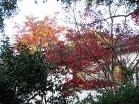 [2006-12-03_14.15.05.jpg]