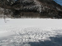[07-02-25_10.27.19.jpg]