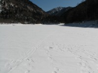 [07-02-25_10.28.20.jpg]