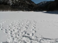 [07-02-25_10.31.37.jpg]
