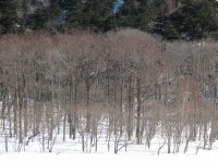 [07-02-25_10.32.19.jpg]
