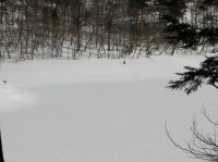[07-02-25_10.48.50.jpg]