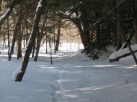 [07-02-25_11.11.20.jpg]