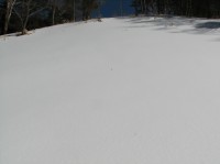 [07-02-25_11.20.46.jpg]