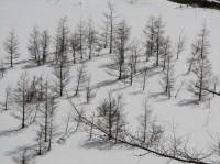 [07-02-25_11.21.24.jpg]