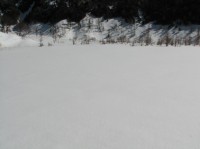 [07-02-25_11.23.43.jpg]