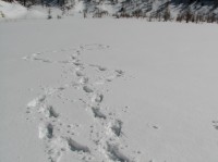 [07-02-25_11.24.35.jpg]