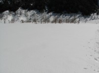 [07-02-25_11.24.49.jpg]