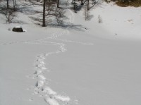 [07-02-25_11.25.57.jpg]