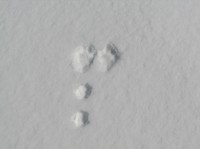 [07-02-25_11.28.51.jpg]