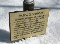 [07-02-25_12.42.52.jpg]