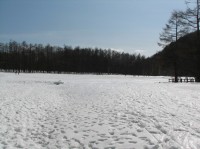 [07-02-25_13.16.12.jpg]
