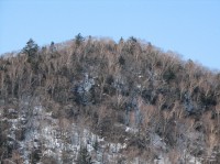 [07-02-25_13.21.36.jpg]