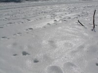 [07-02-25_13.22.12.jpg]