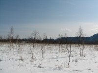 [07-02-25_14.13.25.jpg]