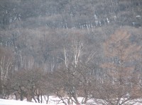 [07-02-25_15.16.29.jpg]