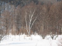 [07-02-25_15.20.34.jpg]