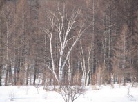 [07-02-25_15.25.46.jpg]