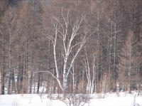 [07-02-25_15.25.55.jpg]
