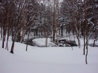 [2005-03-26_14.11.32_C3040ZHS.jpg]