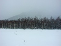 [2005-03-26_15.28.41_C3040ZHS.jpg]