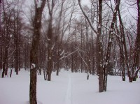 [2005-03-26_16.46.43_C3040ZHS.jpg]