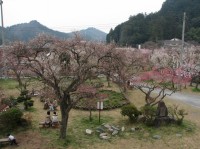 [2006-03-26_16.08.06.jpg]