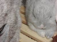 [02-07-16_10.13.18.jpg]