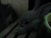 [02-07-30_17.08.45.jpg]